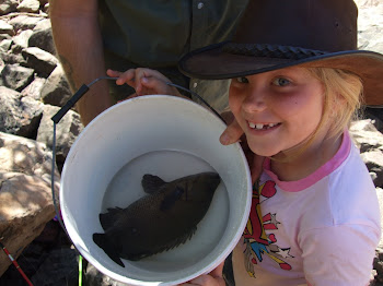 black bream, Ord River