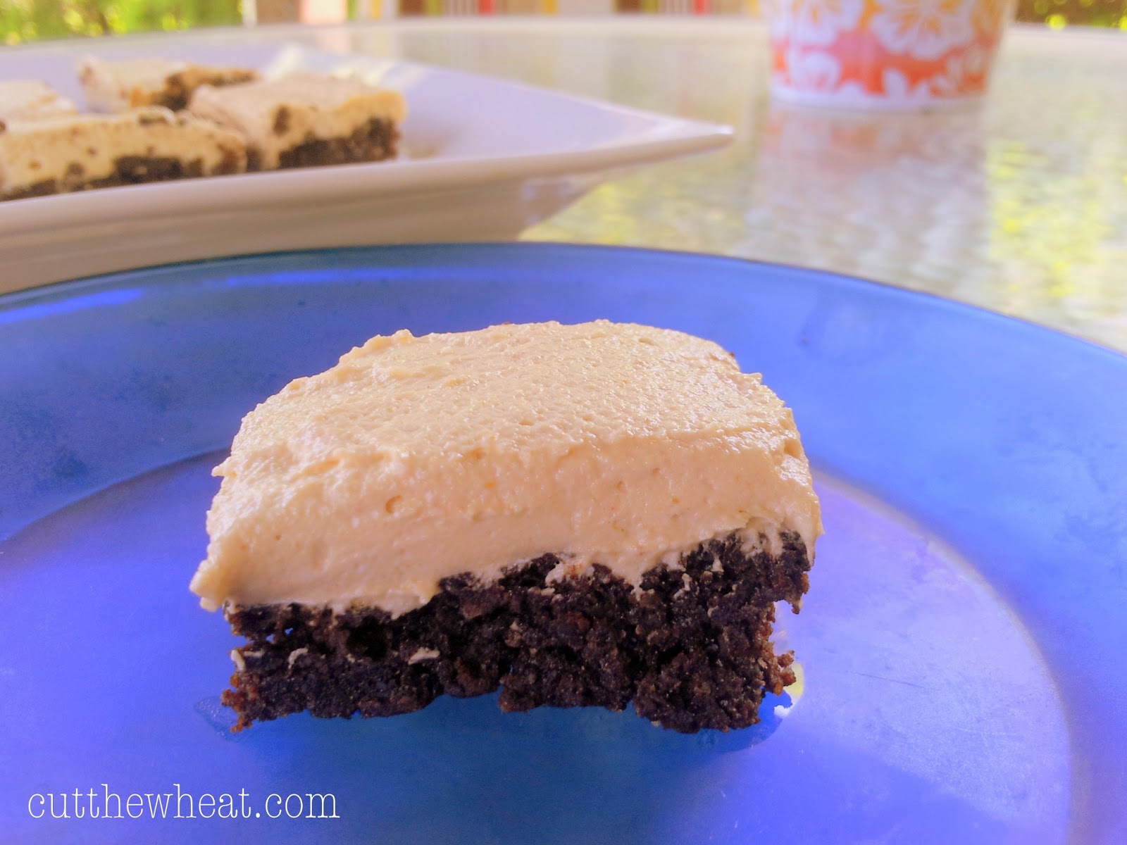 Fudge Peanut Butter Brownies Grain Free, Gluten Free, Sugar Free + Low Carb Cut The Wheat