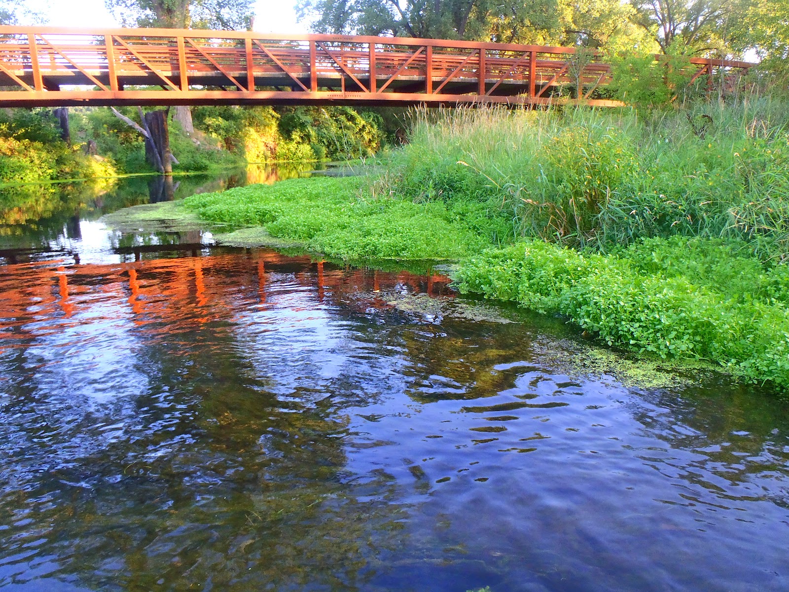 The Rogue Outdoors Iowa Driftless Trout Run