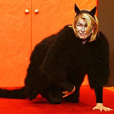 Catsparella Martha Stewart Pets 2 In 1 Cat Bed And Feeding Set Giveaway