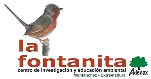 La Fontanita