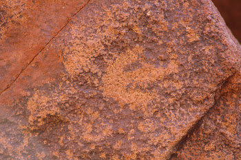 Petroglyph, Deep Gorge near Dampier