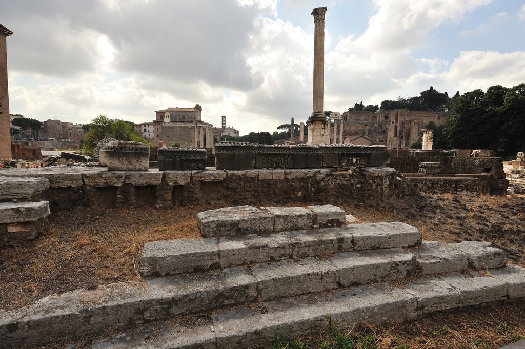 The New Rostra (rostra novum) a new blog Ahem... I am up on the rostra