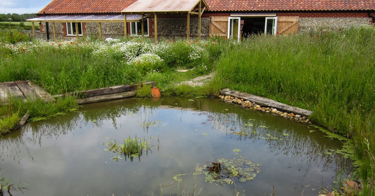Cley Spy Making water flow uphill