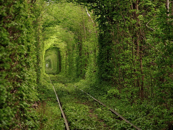 Tunnel of Love in Ukraine