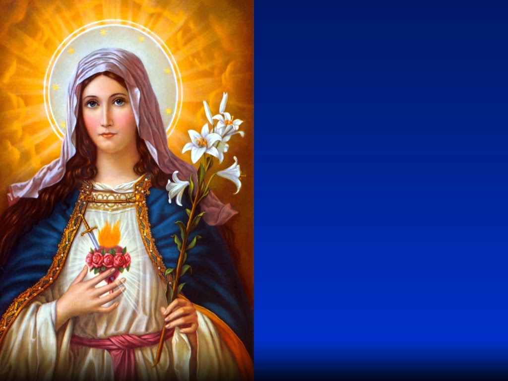 Holy Mass images...: Immaculate Heart of Mary
