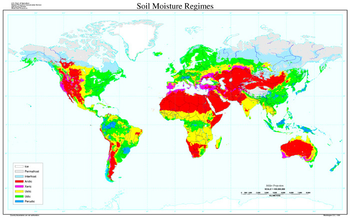 a quality world map installation infection landscapes hookworm a quality world map installation infection landscapes hookworm