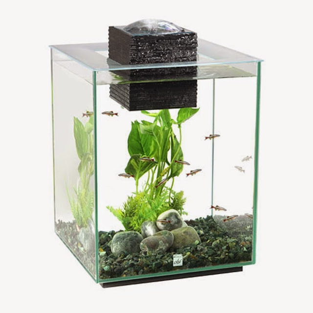 Shelly's Super Spiffy Stuff : Modern Contemporary Fish