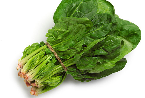 Lettuce Spinach