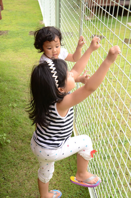 Learning to climb the fence