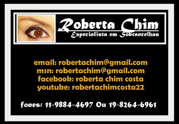 Entrem em contato comigo pelo msn ou por e-mail, ambos são: robertachim@gmail.com