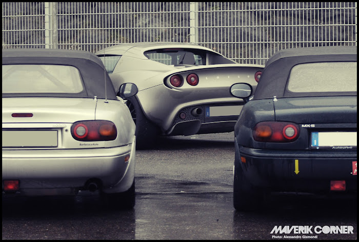 [Immagine: Varano_LLCC_201124.jpg]