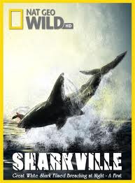 Vịnh Cá Mập - Sharkville (2008) Vietsub Sharkville+(2008)_PhimVang.Org