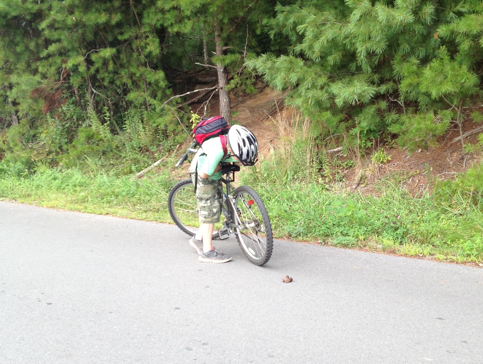Real World Biking Cades Cove Bike Ride