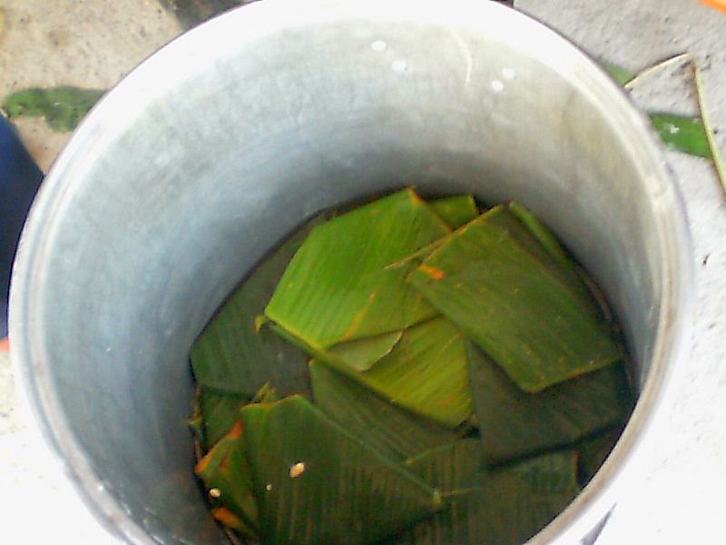 El Tamales de ceniza