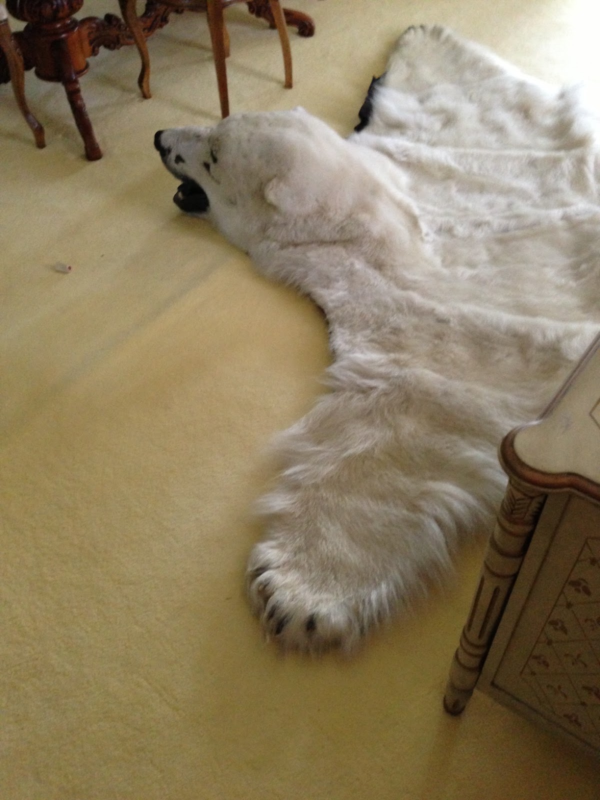 Baffin Island Polar Bear Rug for Sale Polar Bear Rug with Head for Sale