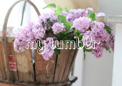 My Tumblr