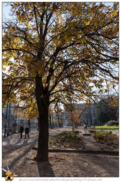 Museo dis cienze naturali parco museo scienze naturali milano
