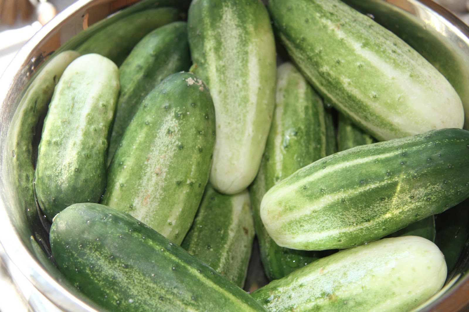 This One Good Life Wild Fermented Refrigerator Pickles