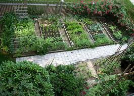 Backyard Vegetable Garden Design Pictures