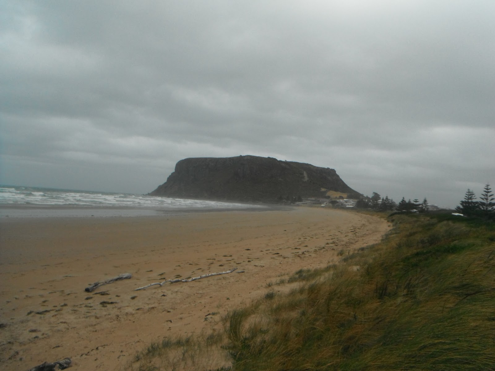 DSCF2589.JPG