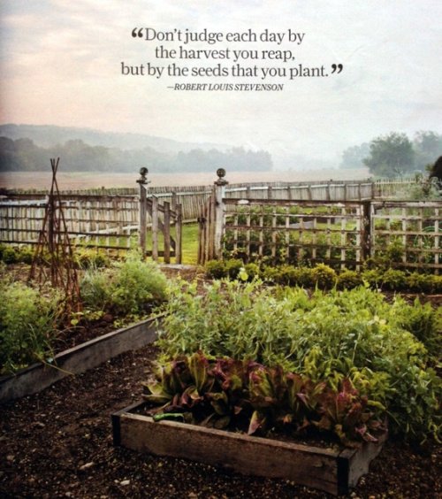 living the country life quotes quotesgram living the country life quotes quotesgram