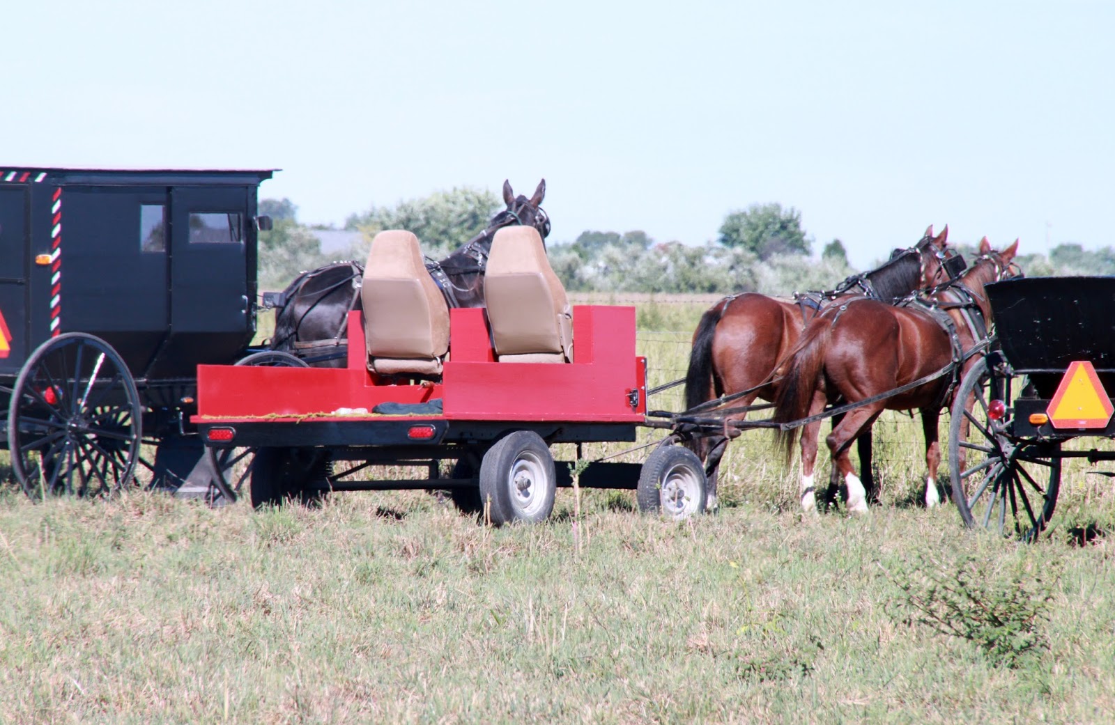 Retirement and Back to the Basics Amish Auction in Arthur Illinois in Pictures
