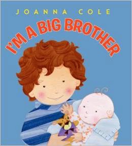 what is the book big brother about