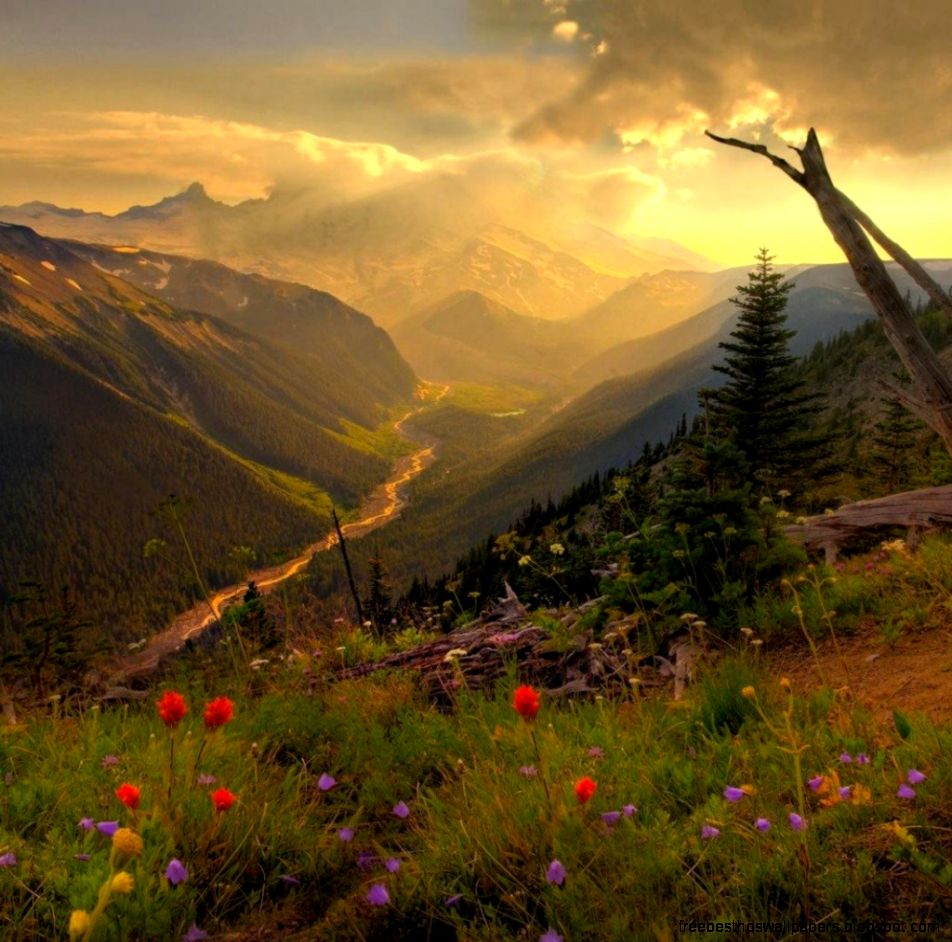 River Through Mountains ipad wallpaper River Through Mountains ipad wallpaper