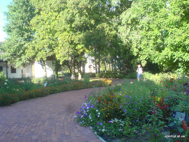 Зображення