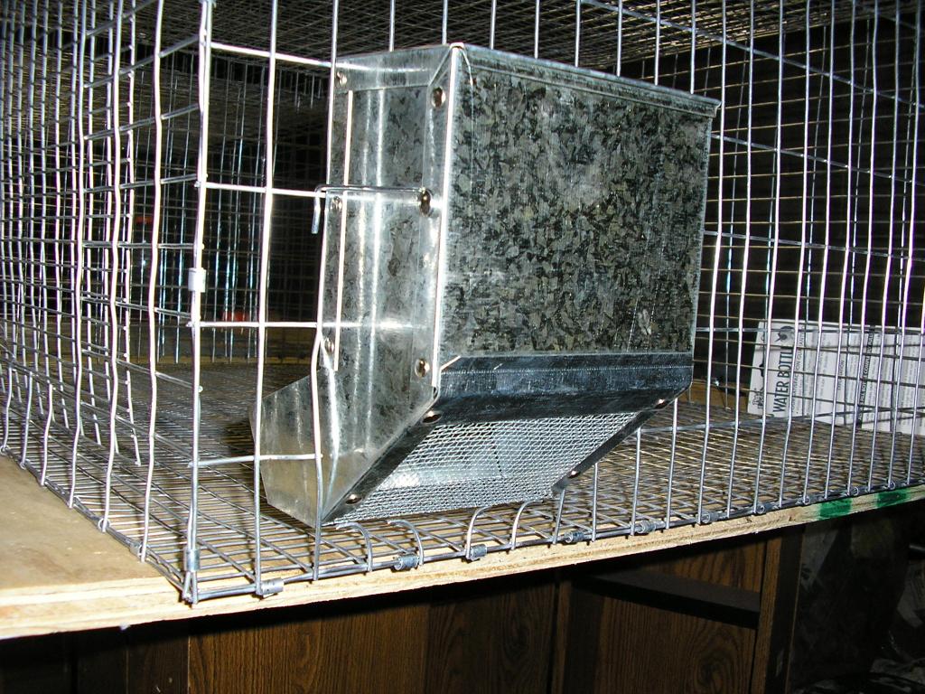 Shaktopia How to build a rabbit cage