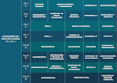 Primera Licenciatura en Nanotecnología II.