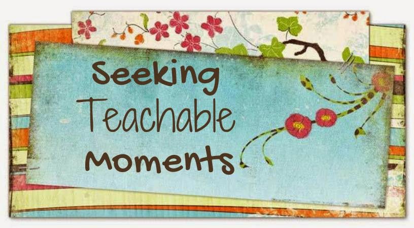 Seeking Teachable Moments