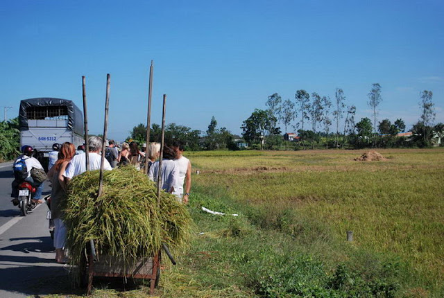 Travel Vietnam Blog