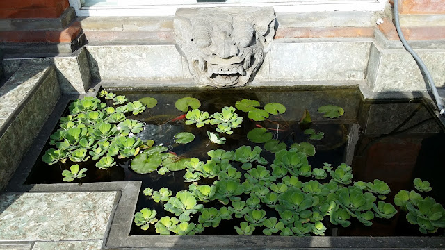 Estanque de lotos en Bali Estanque de lotos en Bali