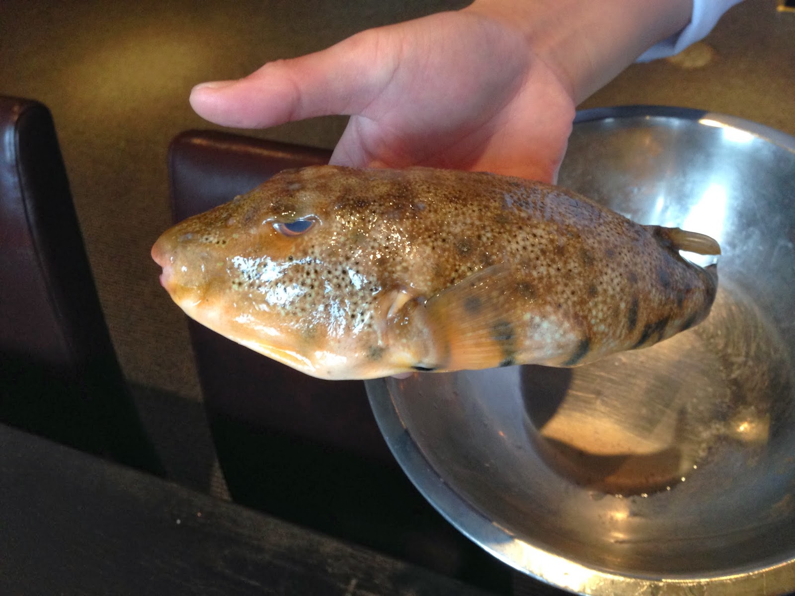 fugu preparation