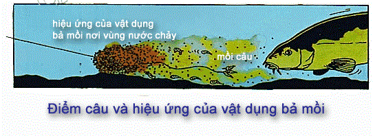 Hiệu ứng mồi bả khi câu cá Hiệu ứng mồi bả khi câu cá