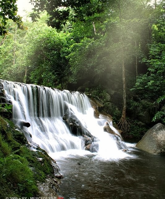 Huay Yang Waterfall National Park