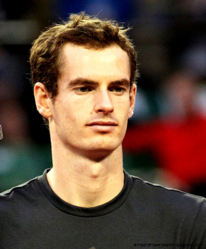Andy Murray Health Fitness Height Weight Chest Biceps and Andy Murray Health Fitness Height Weight Chest Biceps and
