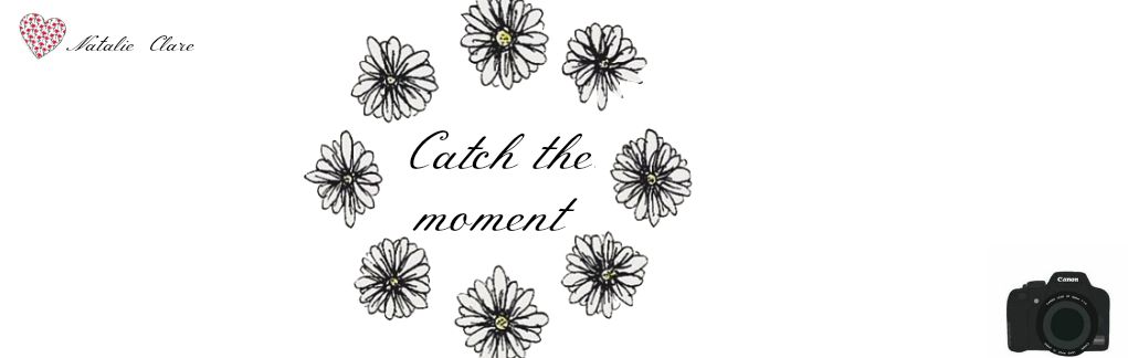 Catch the moment
