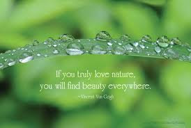 Free 3d Wallpapers Download Nature Quotes Nature Quote Flower Quotes