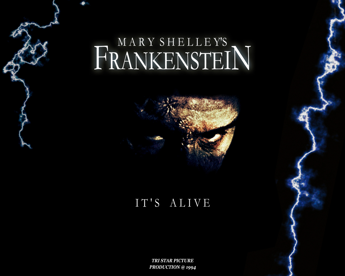 Frankenstein Movie Version Vs Mary Shelleys Novel Essay Coursework Frankenstein Movie Version Vs Mary Shelleys Novel Essay Novelmovie Difference Mary Shelleys Frankenstein Who Essay In English Language also Importance Of English Language Essay Writing Services For Students