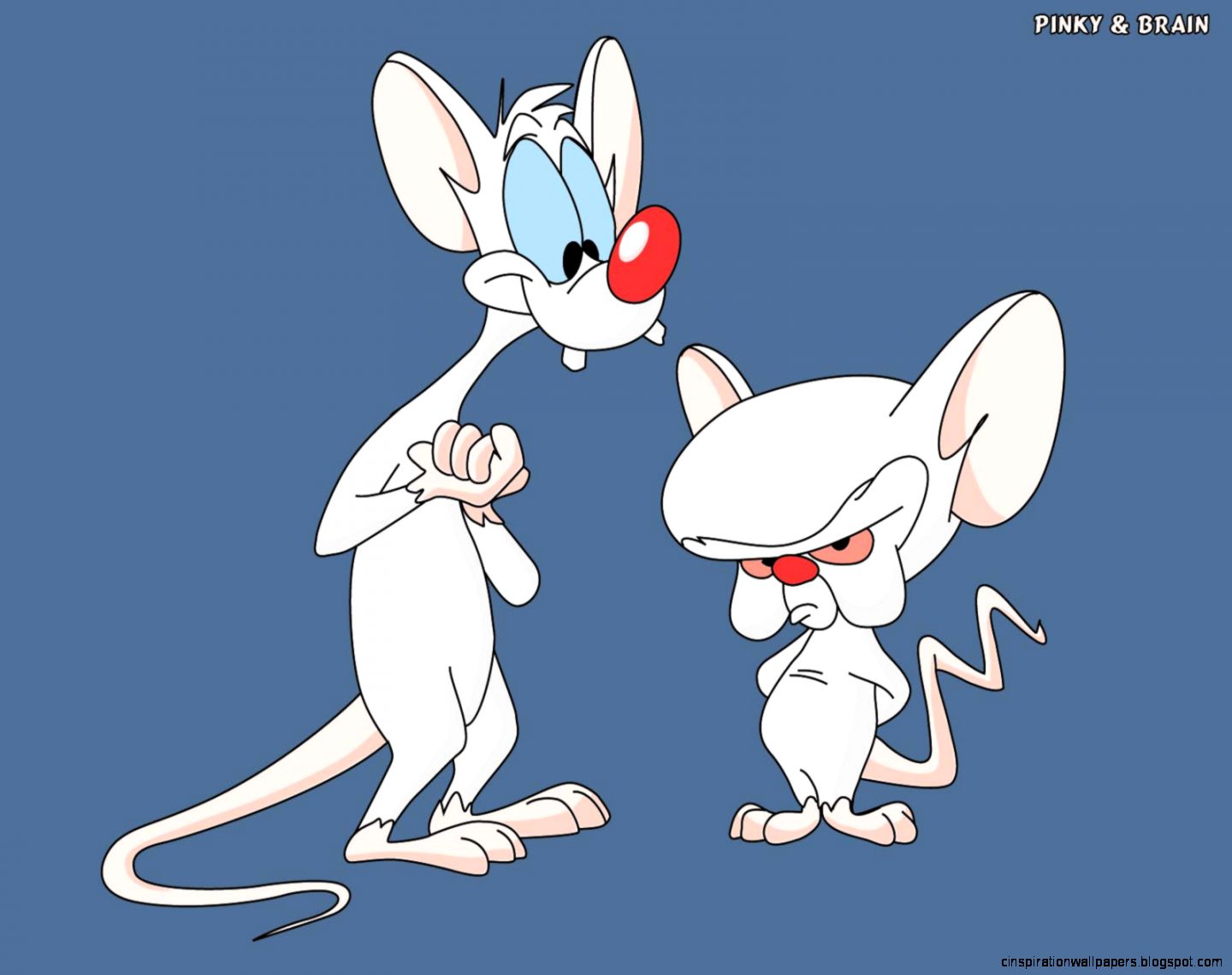 Pinky and Brain Cartoon Pinky and Brain Cartoon