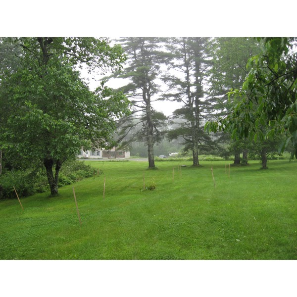 Oyster River House PHOTOS