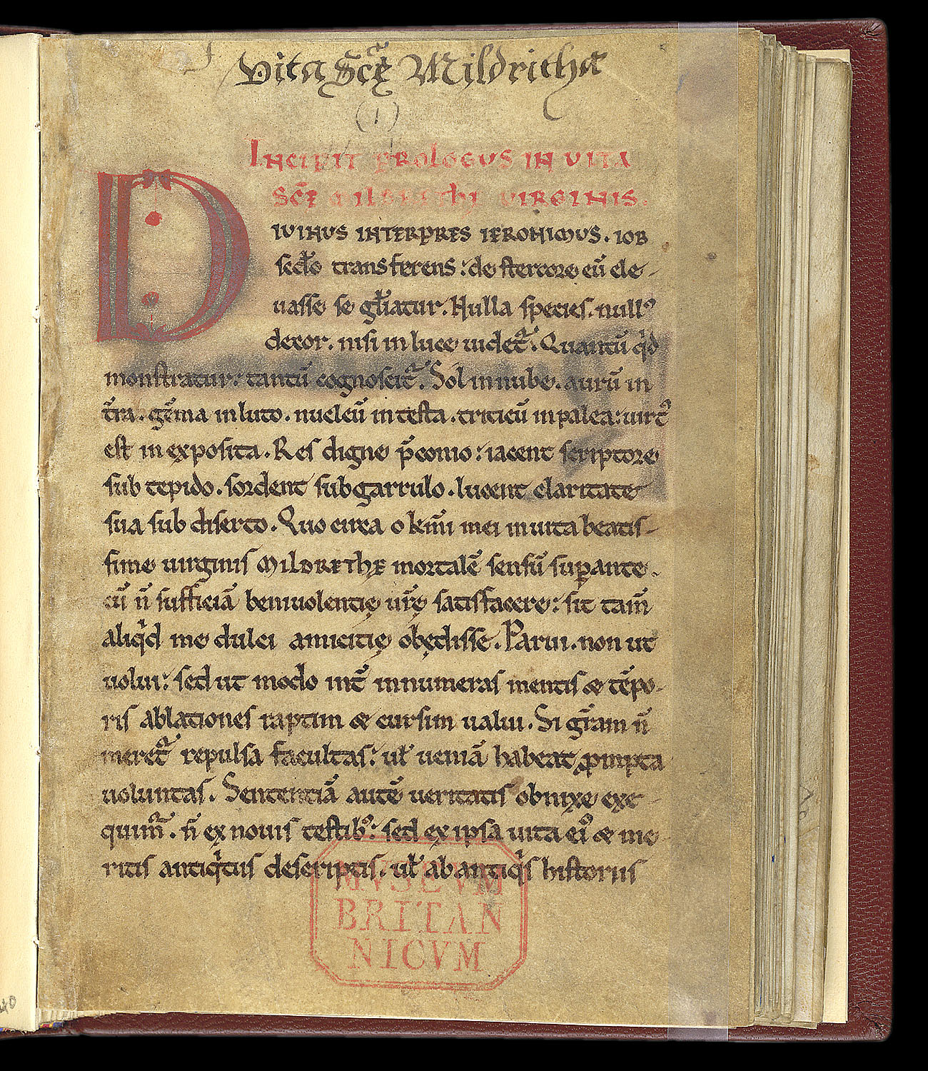 A Clerk of Oxford St Mildred of "The Fairest Lily of the English"