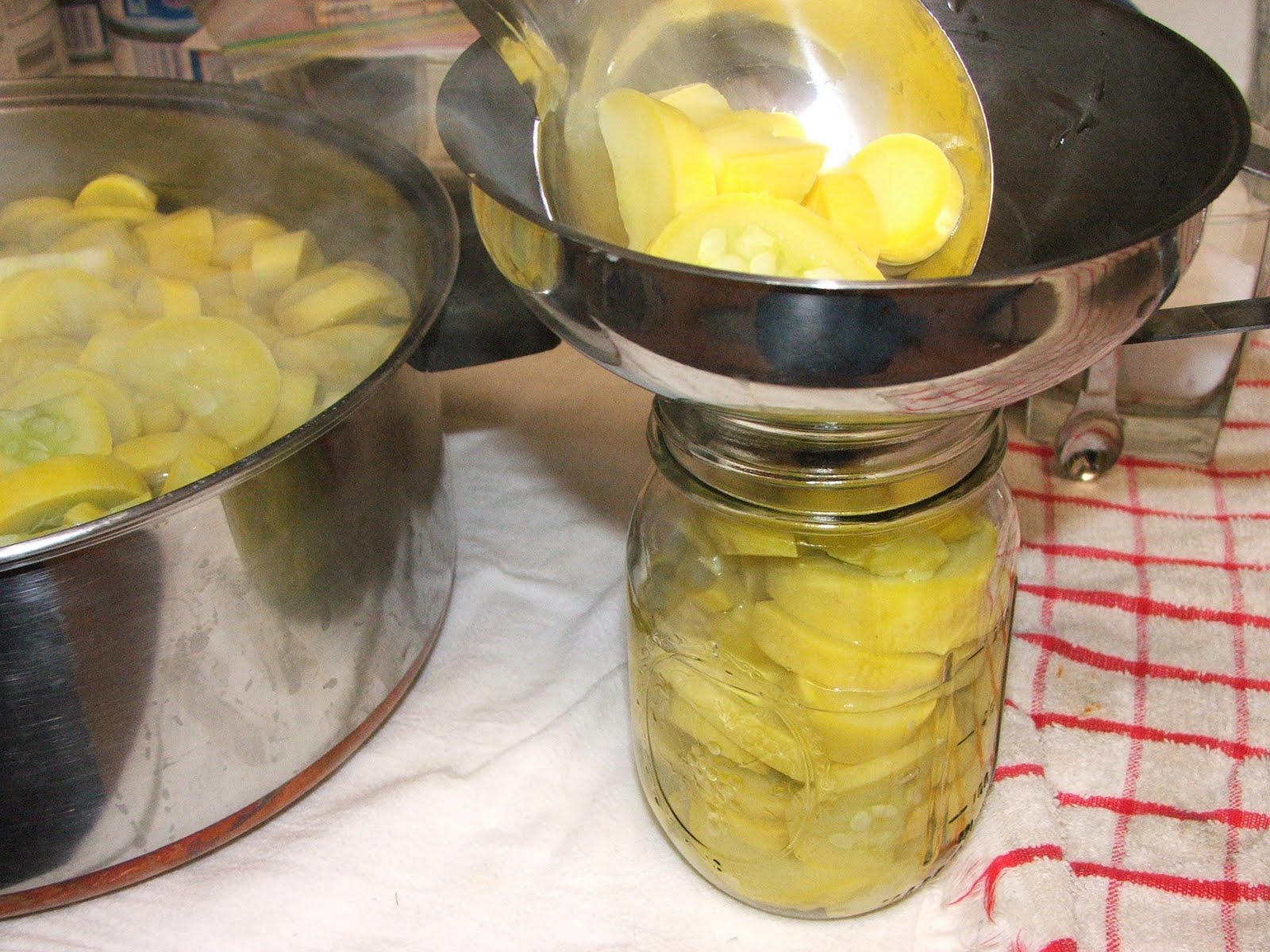 Canning Granny Canning Yellow Summer Squash