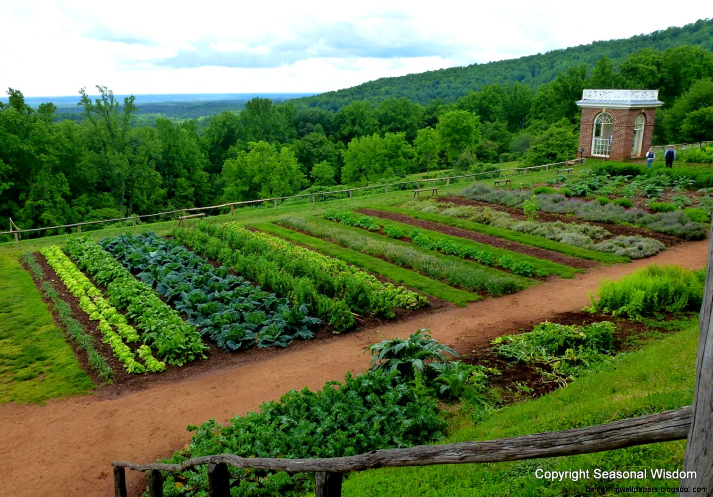 Art Small Interior Vegetable Garden Rows Art Small Interior Vegetable Garden Rows