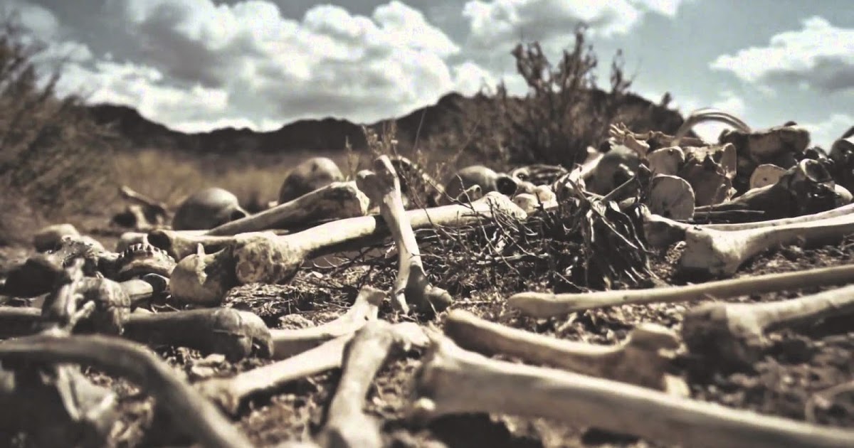 Dem Dry Bones this joyful life blogger