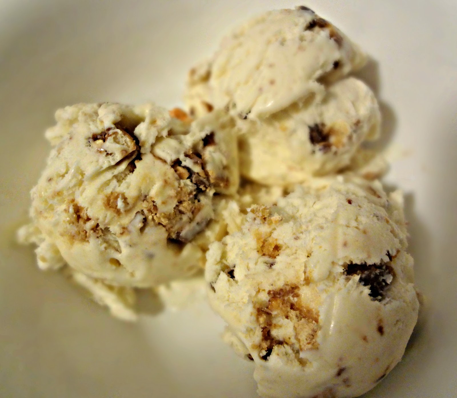 The Cooking Actress EasyNO ICE CREAM MAKER2 Ingredient Ice Cream