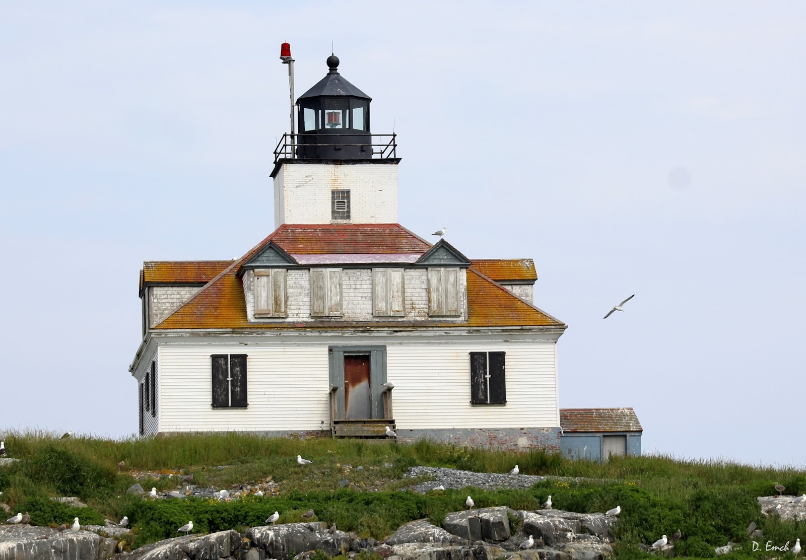 Capture America Journal Maine; Bar Harbor Lighthouse Tour and Whale Watch